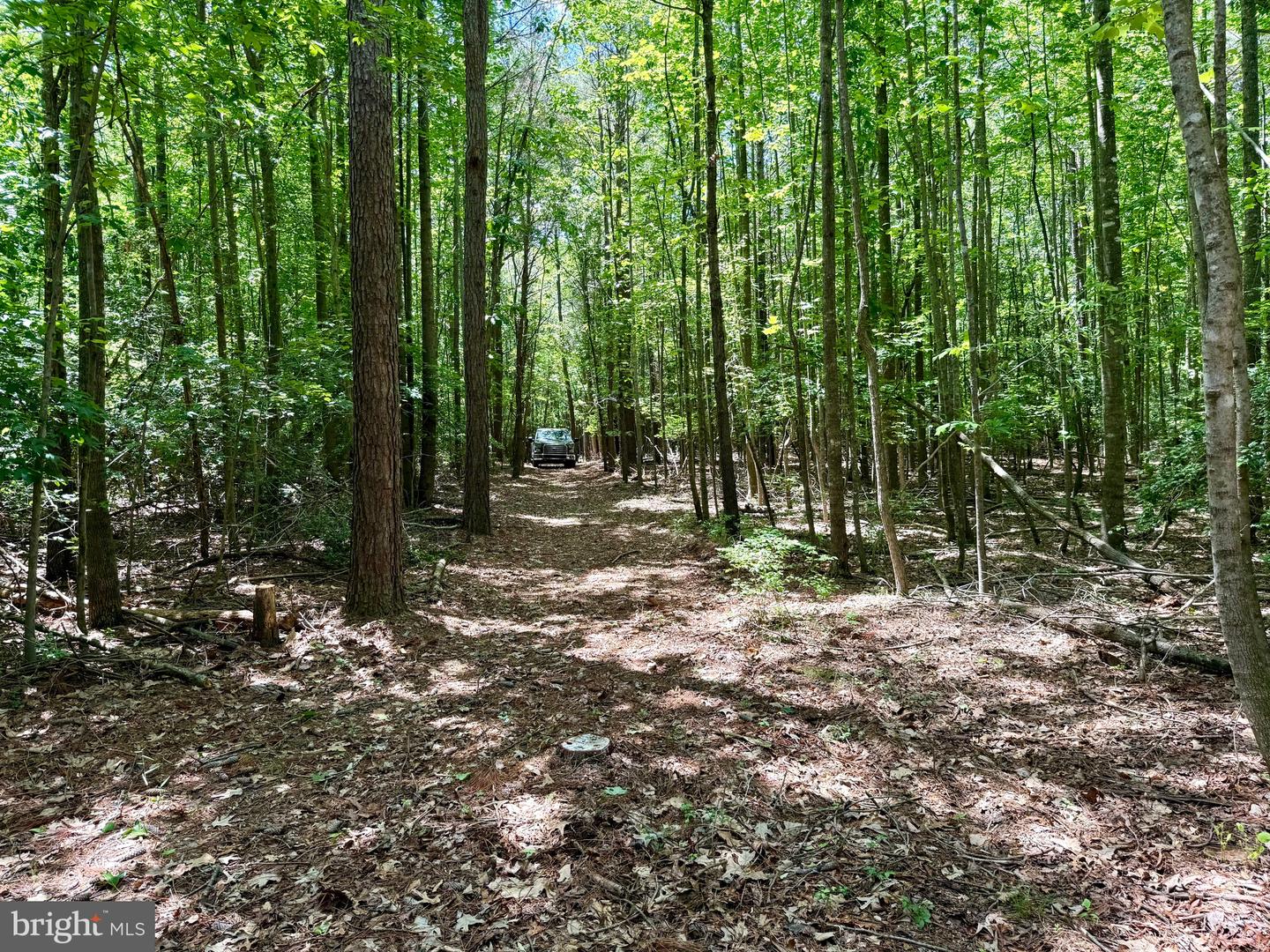 0 Benson Property Photo 12