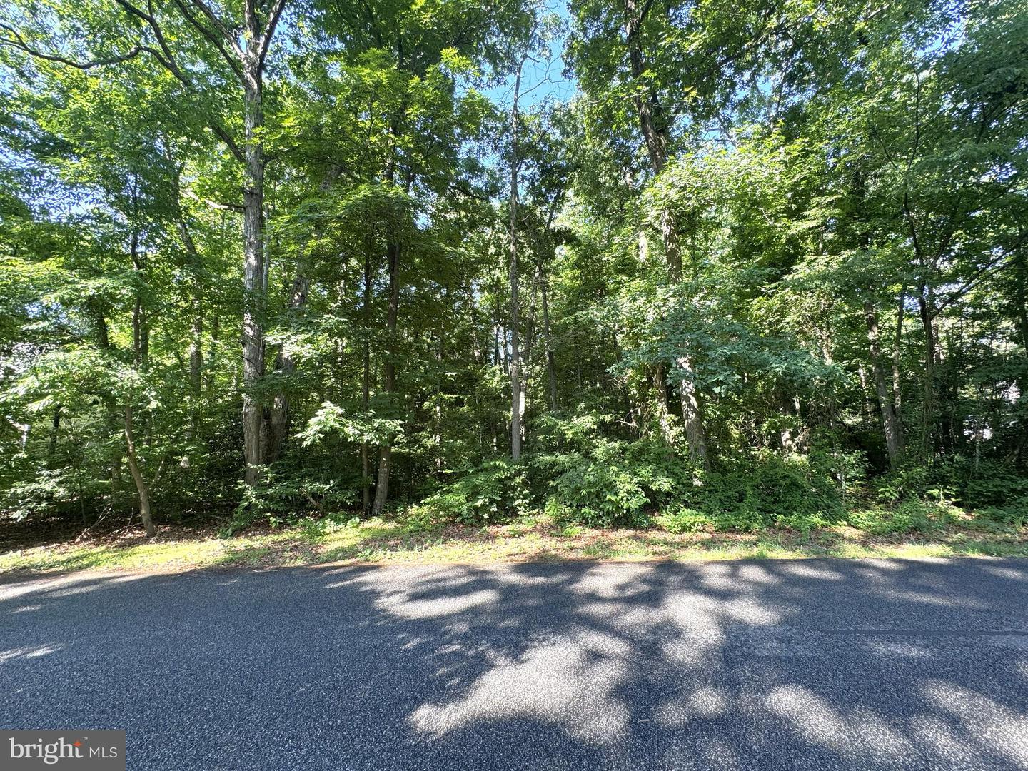 3 Woodland Dr Property Photo 1