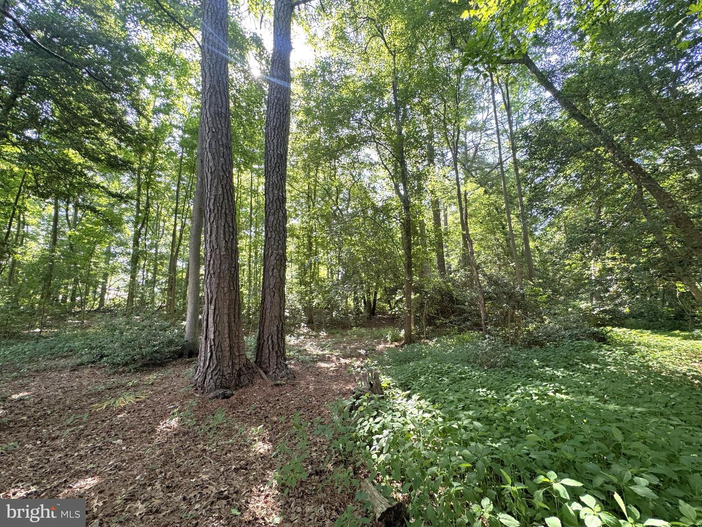 3 Woodland Dr Property Photo 10