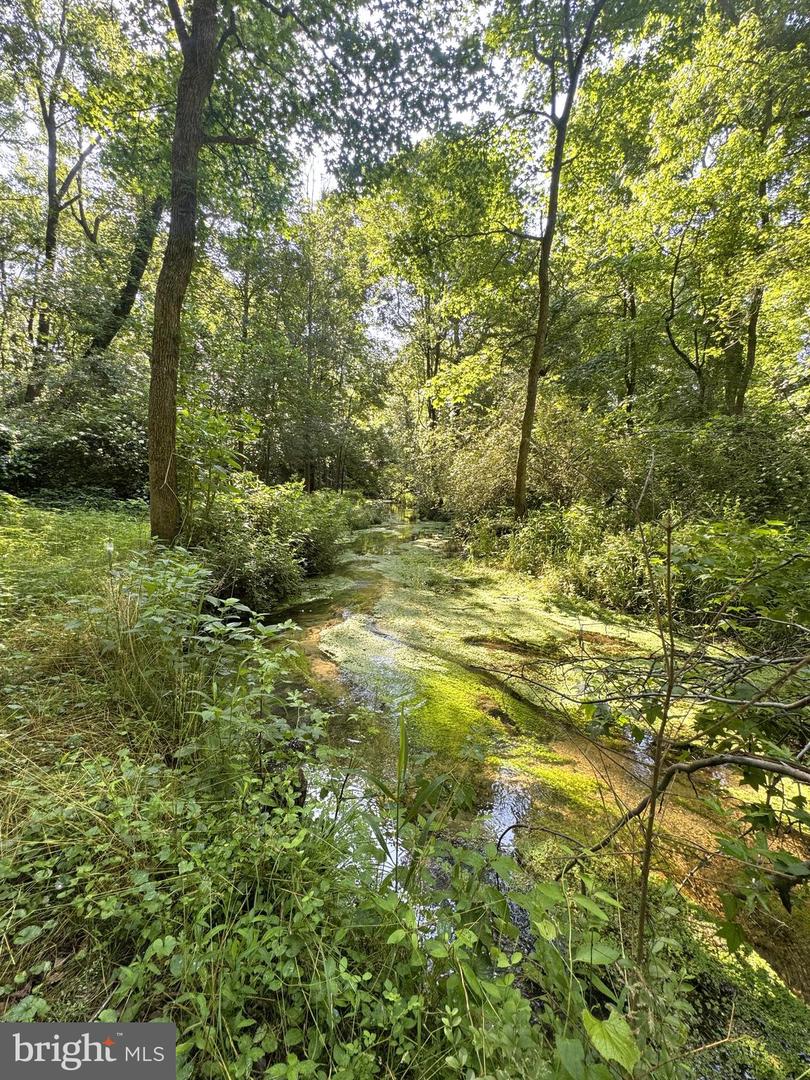 3 Woodland Dr Property Photo 11