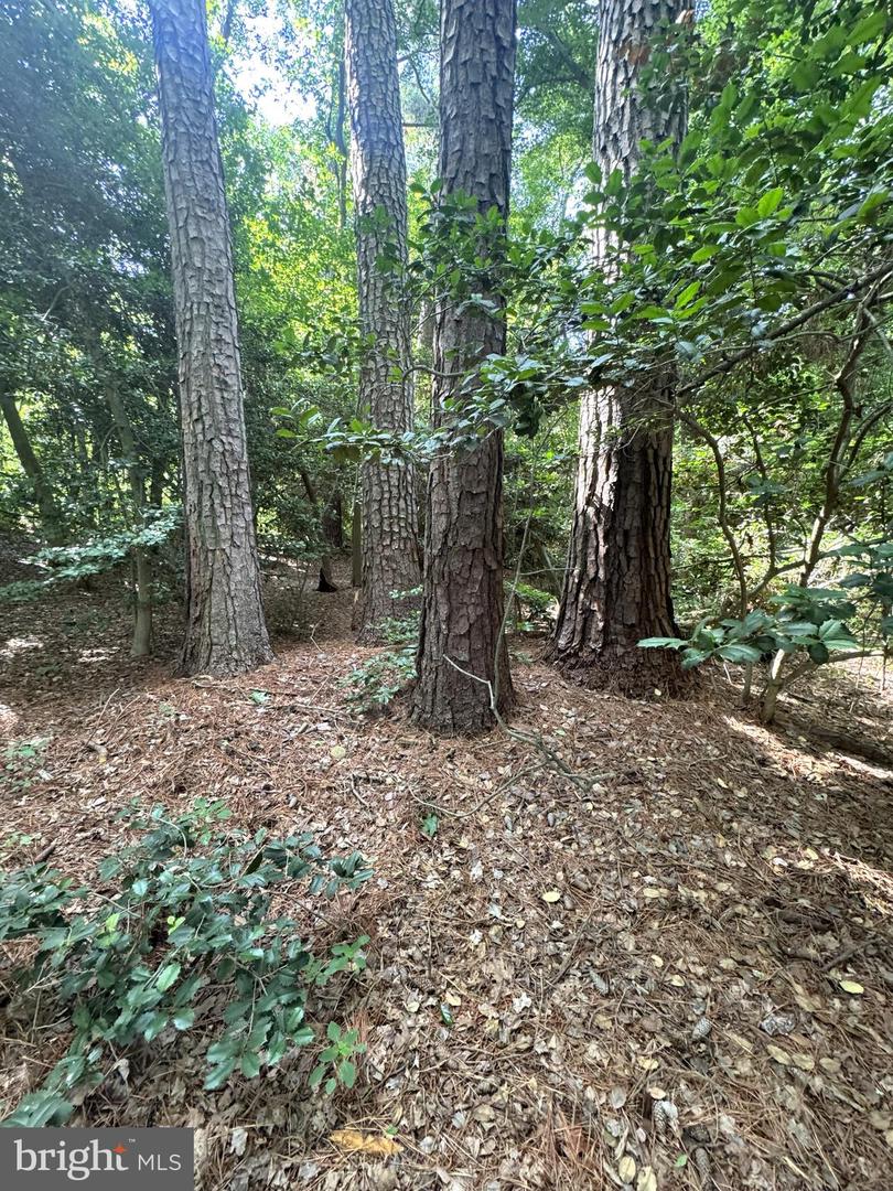 3 Woodland Dr Property Photo 14