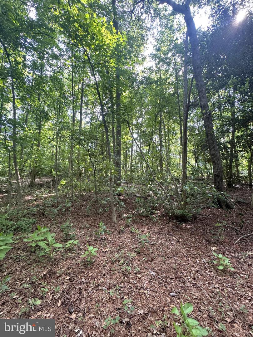 3 Woodland Dr Property Photo 15