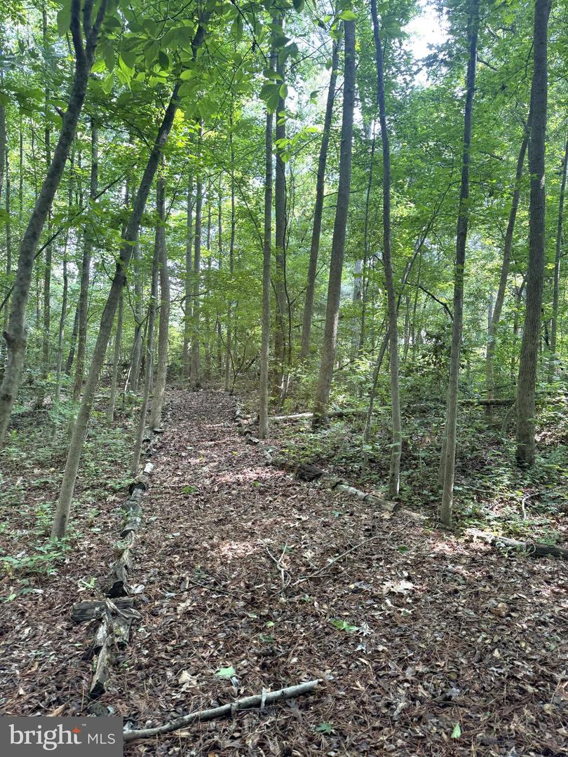 3 Woodland Dr Property Photo 16