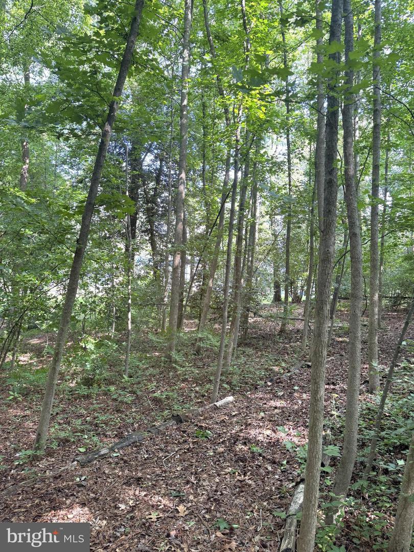 3 Woodland Dr Property Photo 17