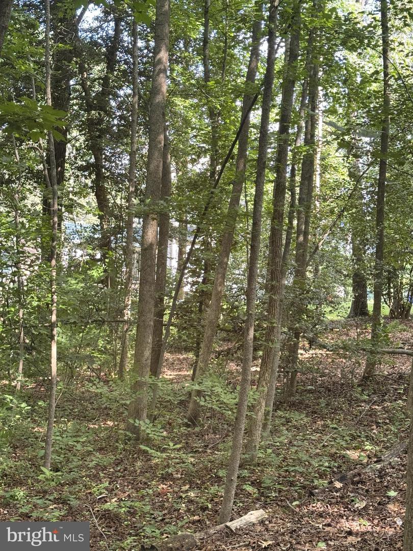 3 Woodland Dr Property Photo 18