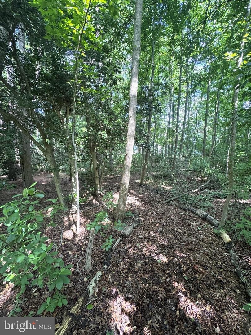 3 Woodland Dr Property Photo 19