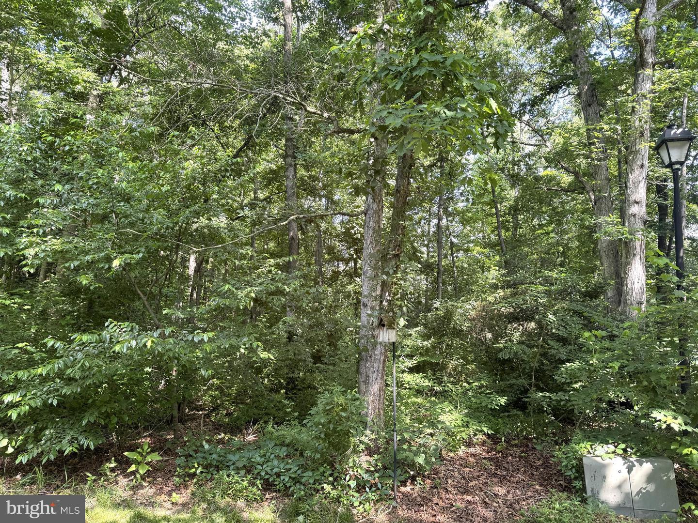 3 Woodland Dr Property Photo 20