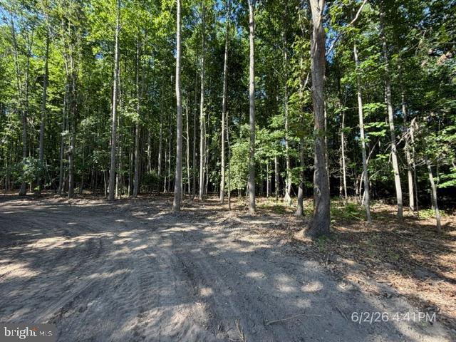 Lot 1 Benson Rd. Property Photo 9