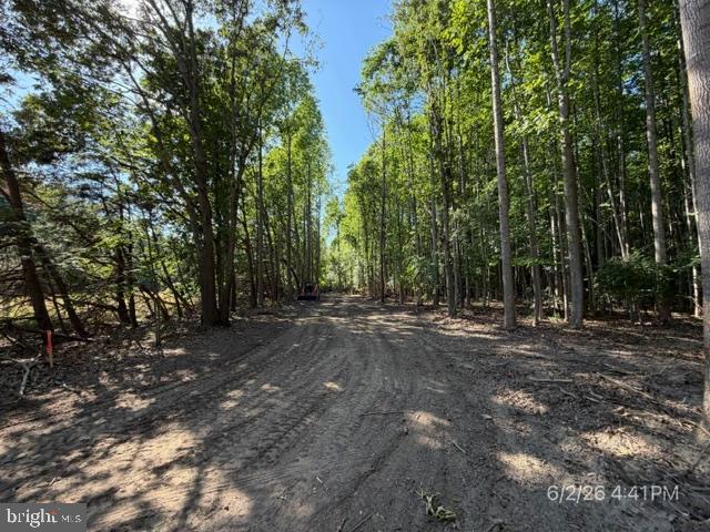 Lot 1 Benson Rd. Property Photo 10