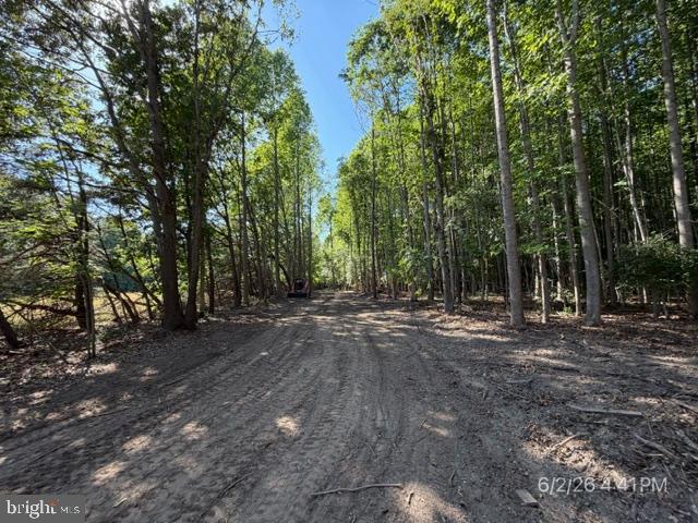 Lot 1 Benson Rd. Property Photo 11