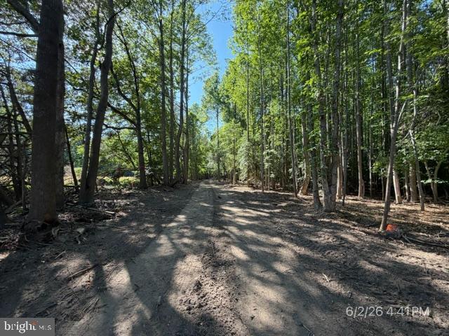 Lot 1 Benson Rd. Property Photo 12