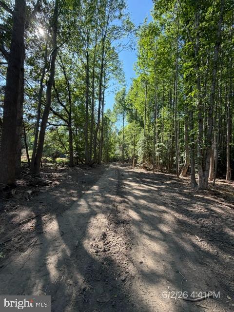Lot 1 Benson Rd. Property Photo 13