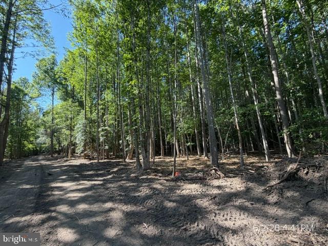 Lot 1 Benson Rd. Property Photo 14