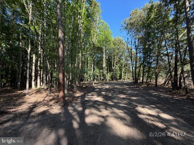 Lot 1 Benson Rd. Property Photo 15