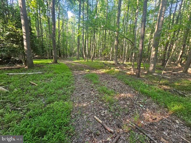 Lot 1 Benson Rd. Property Photo 16