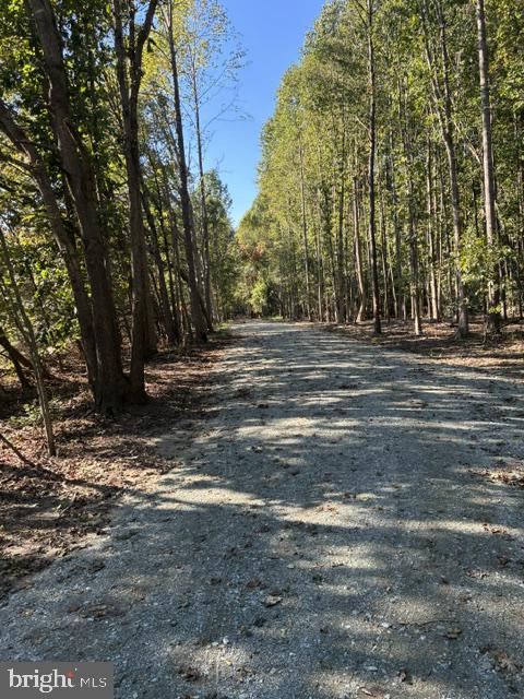 Lot 1 Benson Rd. Property Photo 18