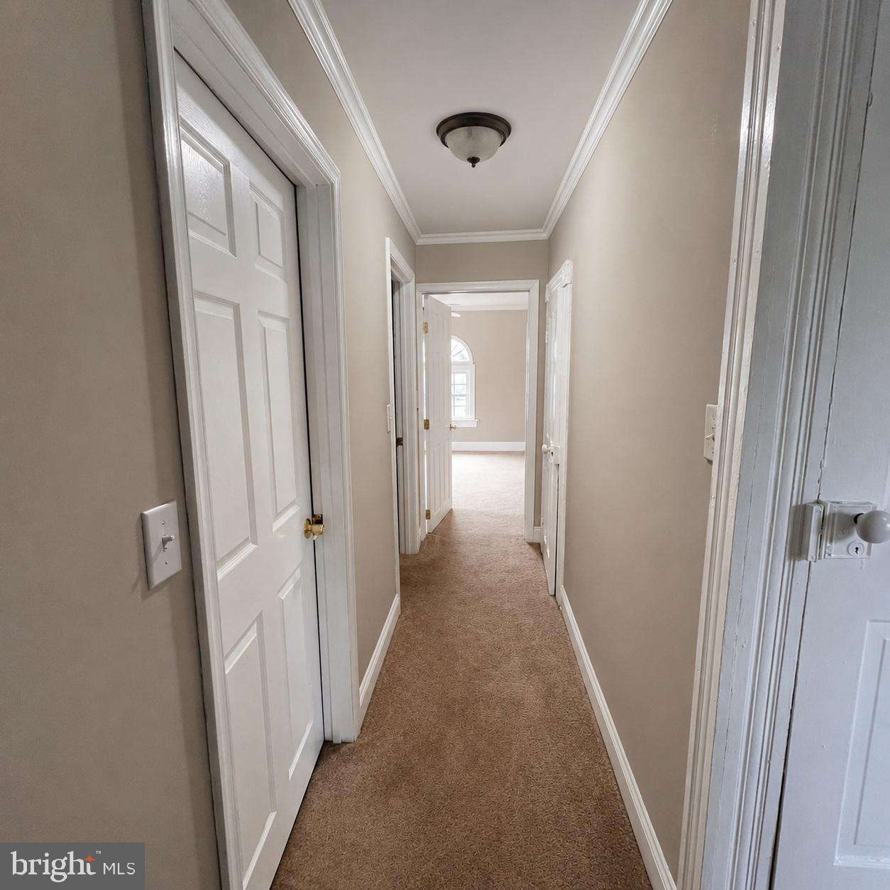 6 Delaware Ave Property Photo 21