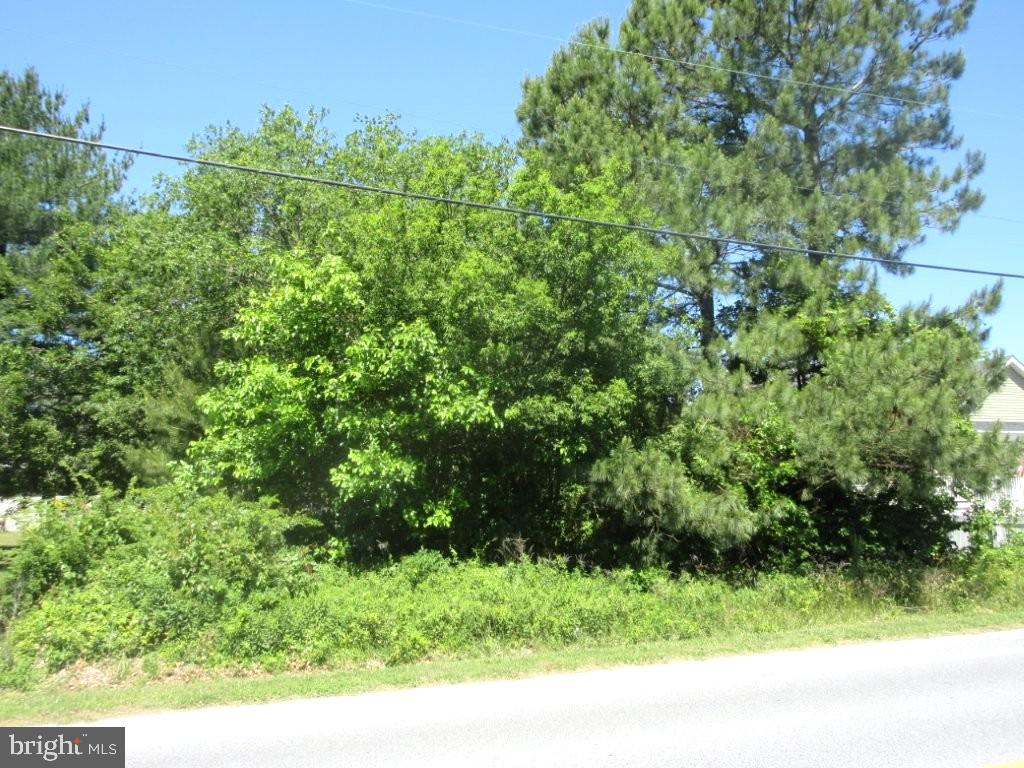 Lot 20 Callaway Ave Property Photo 1
