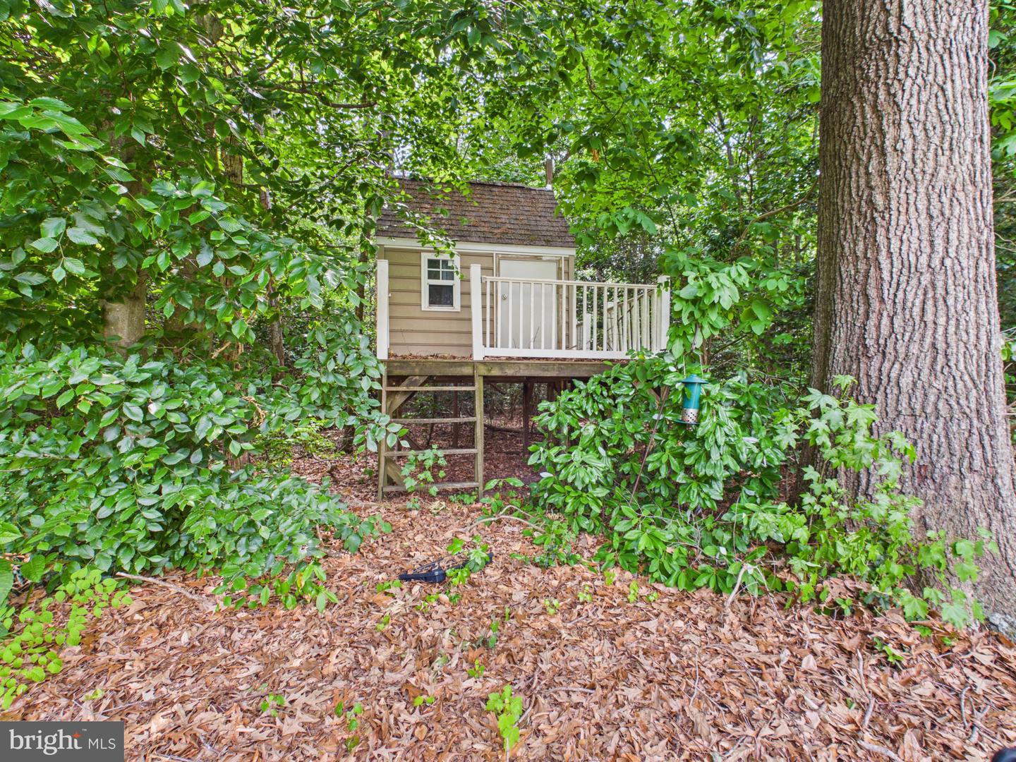 11010 Sunnyside Rd Property Photo 72