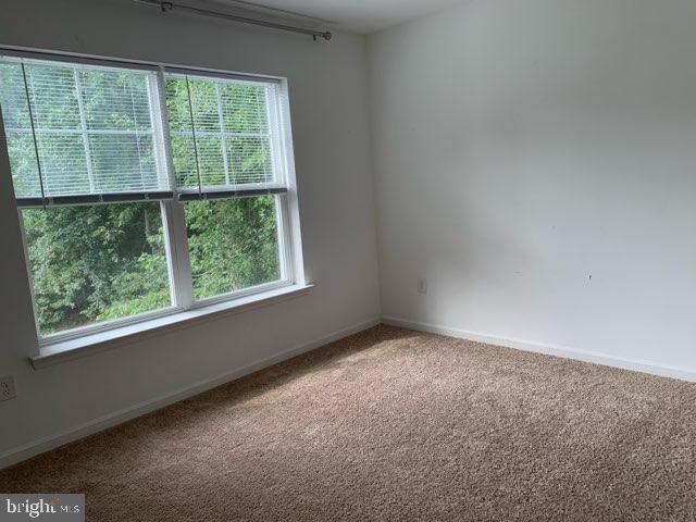 32041 Woods Ct Property Photo 19