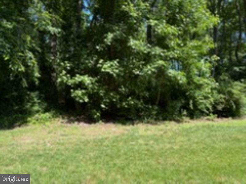 32041 Woods Ct Property Photo 27