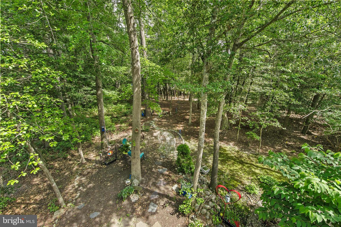 37508 River Birch Ln Property Photo 47