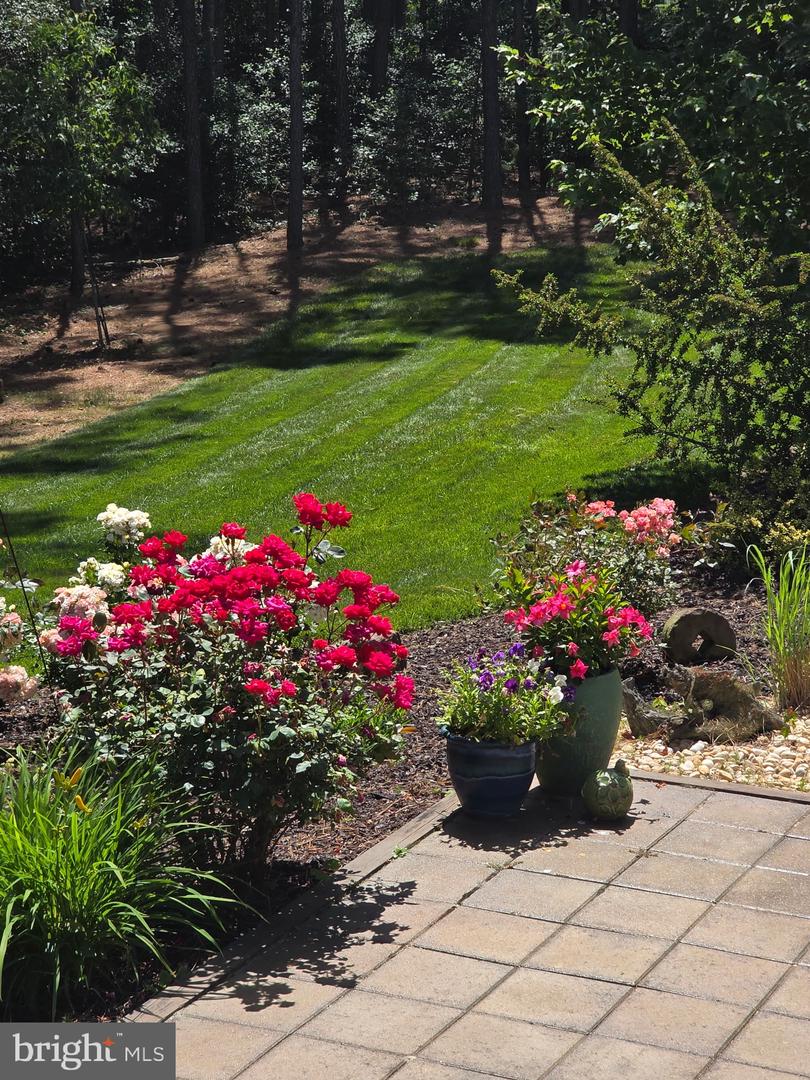 24630 Hollytree Cir Property Photo 58