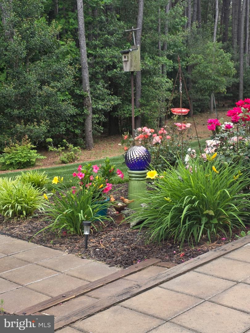 24630 Hollytree Cir Property Photo 59