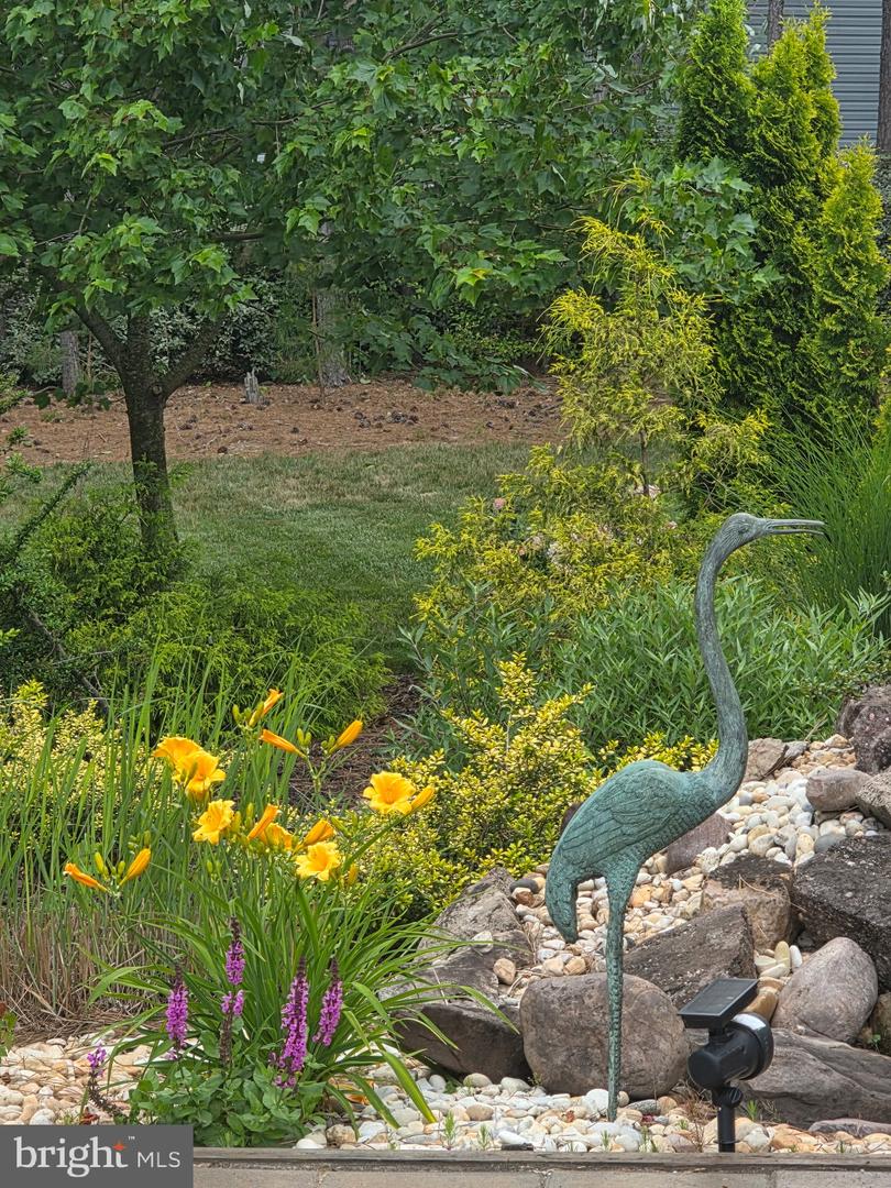 24630 Hollytree Cir Property Photo 60