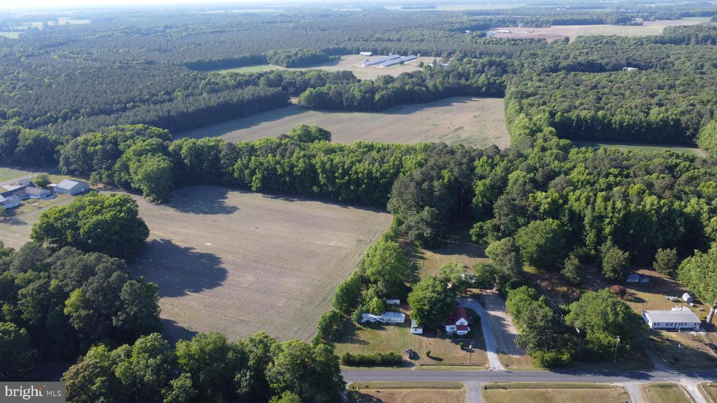 6143 White Deer Rd Property Photo 4