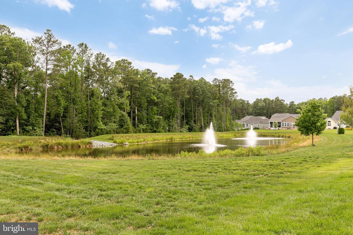 33415 Bridgehampton Ln Property Photo 20