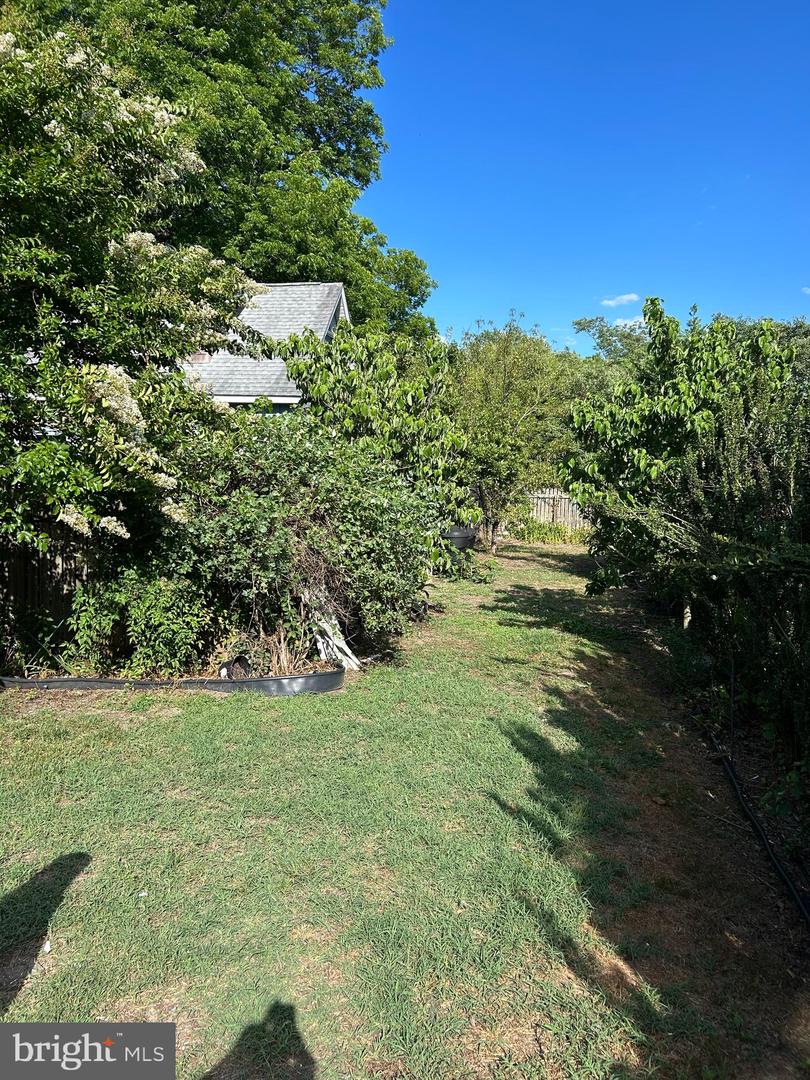 203 Walnut St Property Photo 32