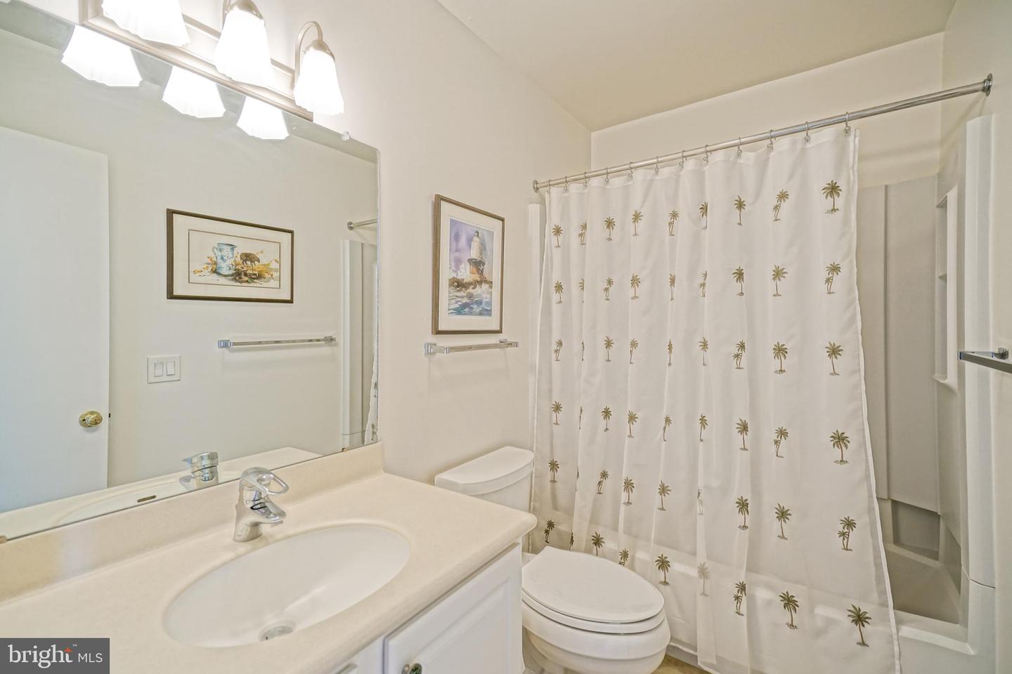 53 Cape Henlopen Dr #6 Property Photo 48