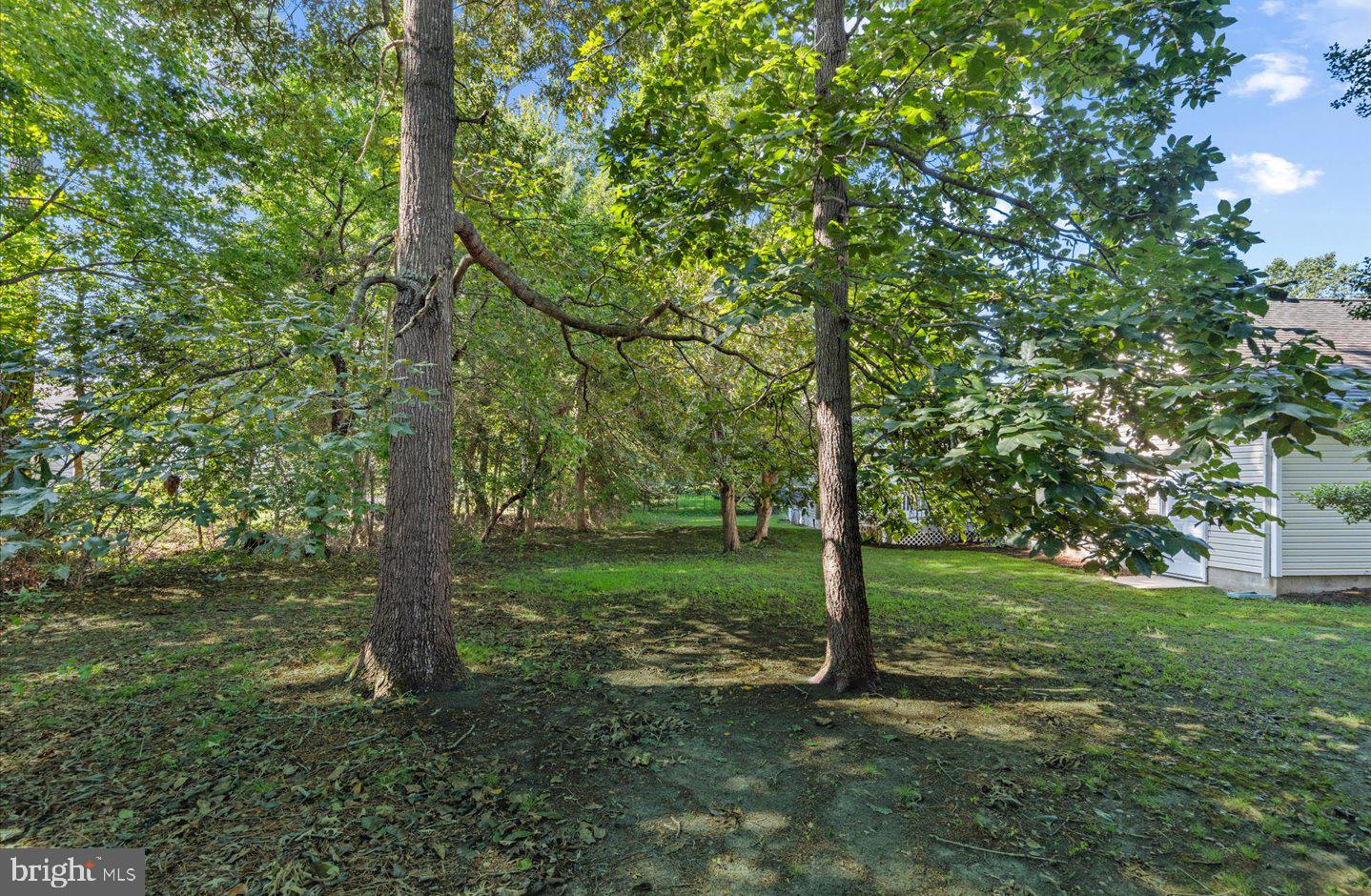 33873 N Heron Dr Property Photo 46