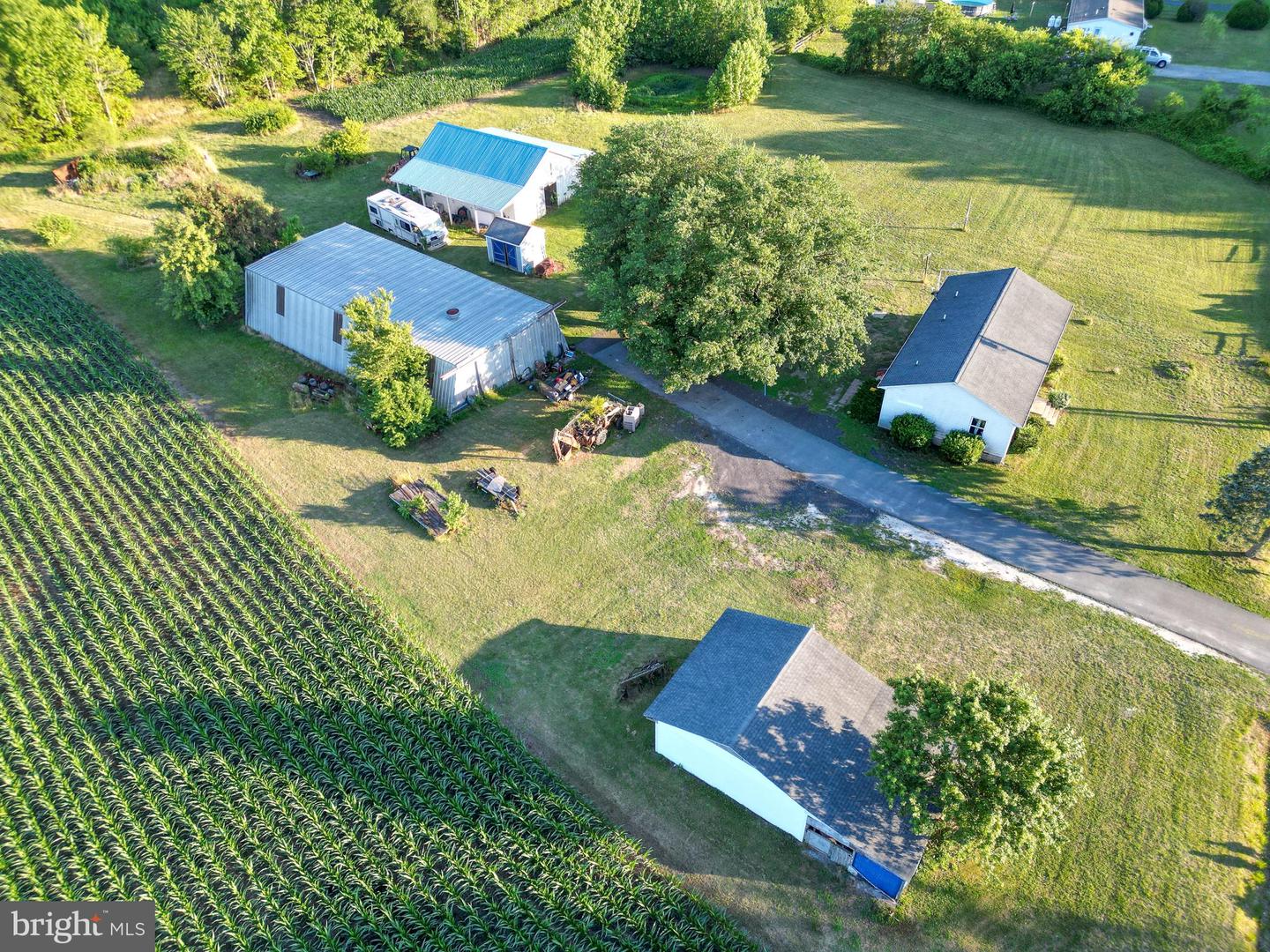 36727 Roxana Rd Property Photo 6