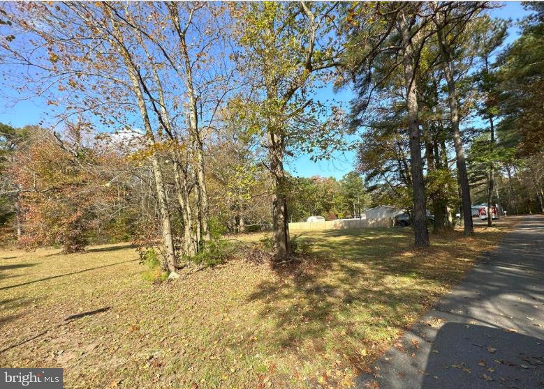 0 Mount Joy Road Property Photo 4