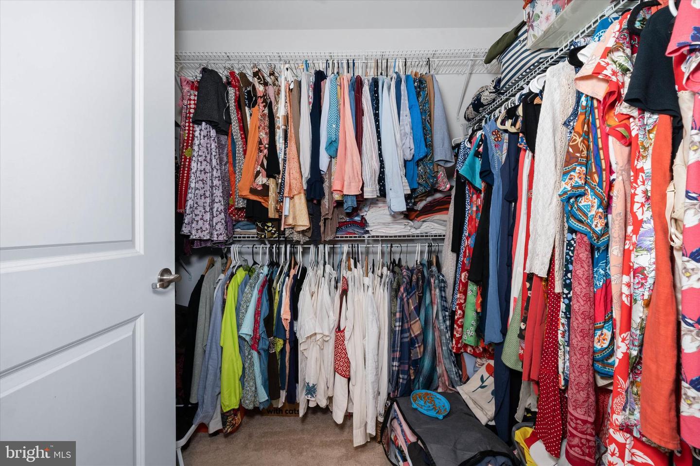 32226 Wingate Cir Property Photo 23