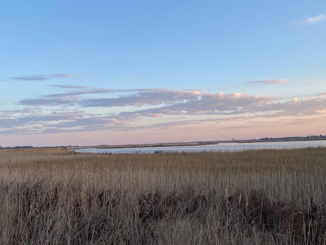 9176 Shore Dr Property Photo 53