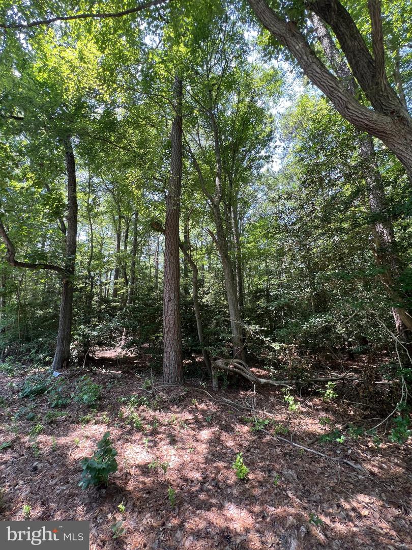 107 W Vega Way #7 Property Photo 1