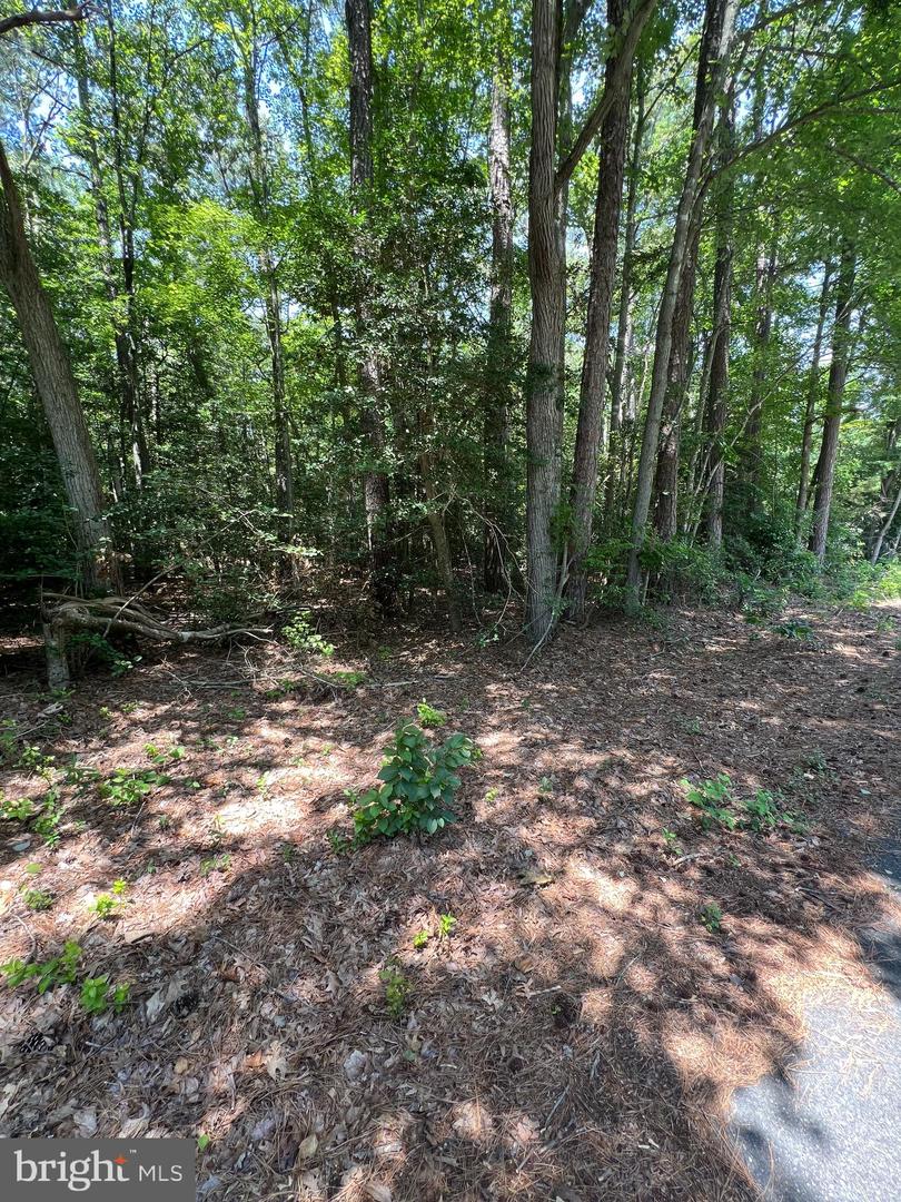 109 W Vega Way #lot 8 Property Photo 1