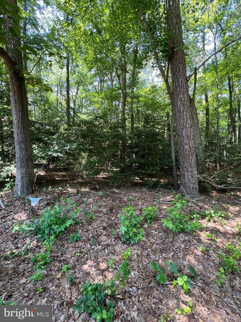109 W Vega Way #lot 8 Property Photo 2