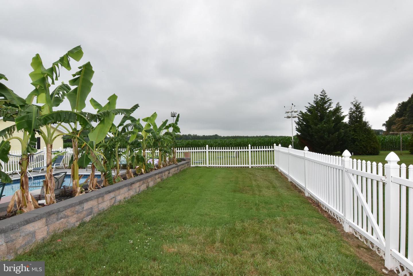 22622 Little St Property Photo 29