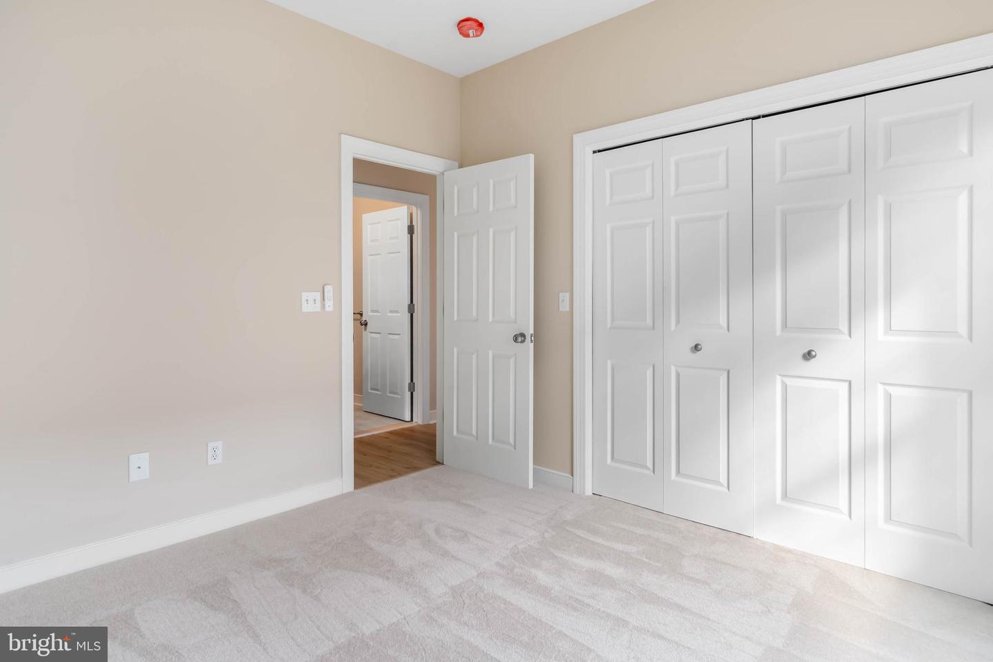 14 Mulberry St Property Photo 13