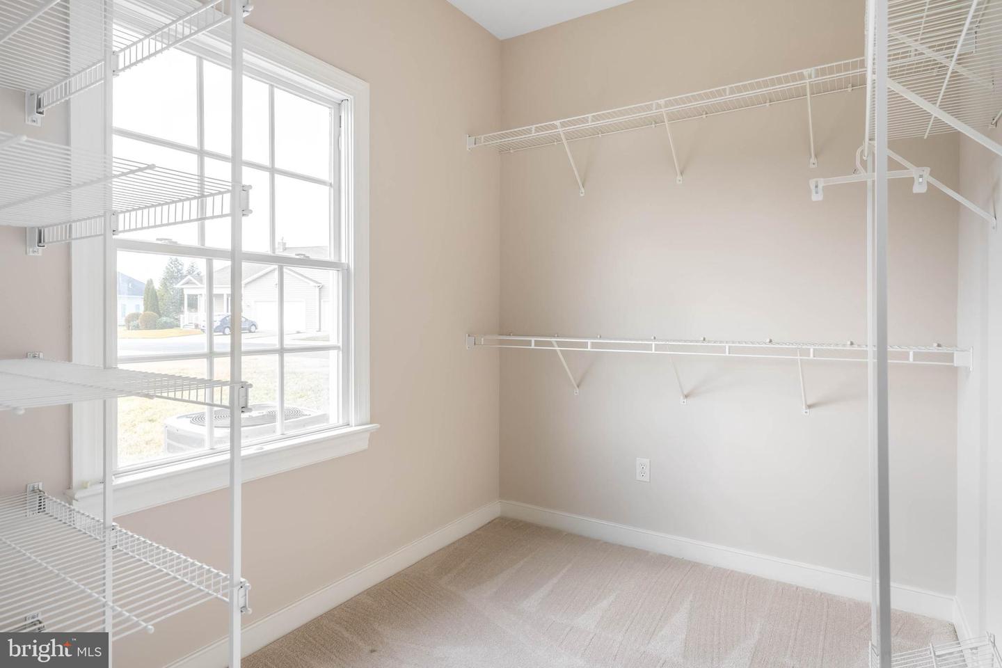 14 Mulberry St Property Photo 17