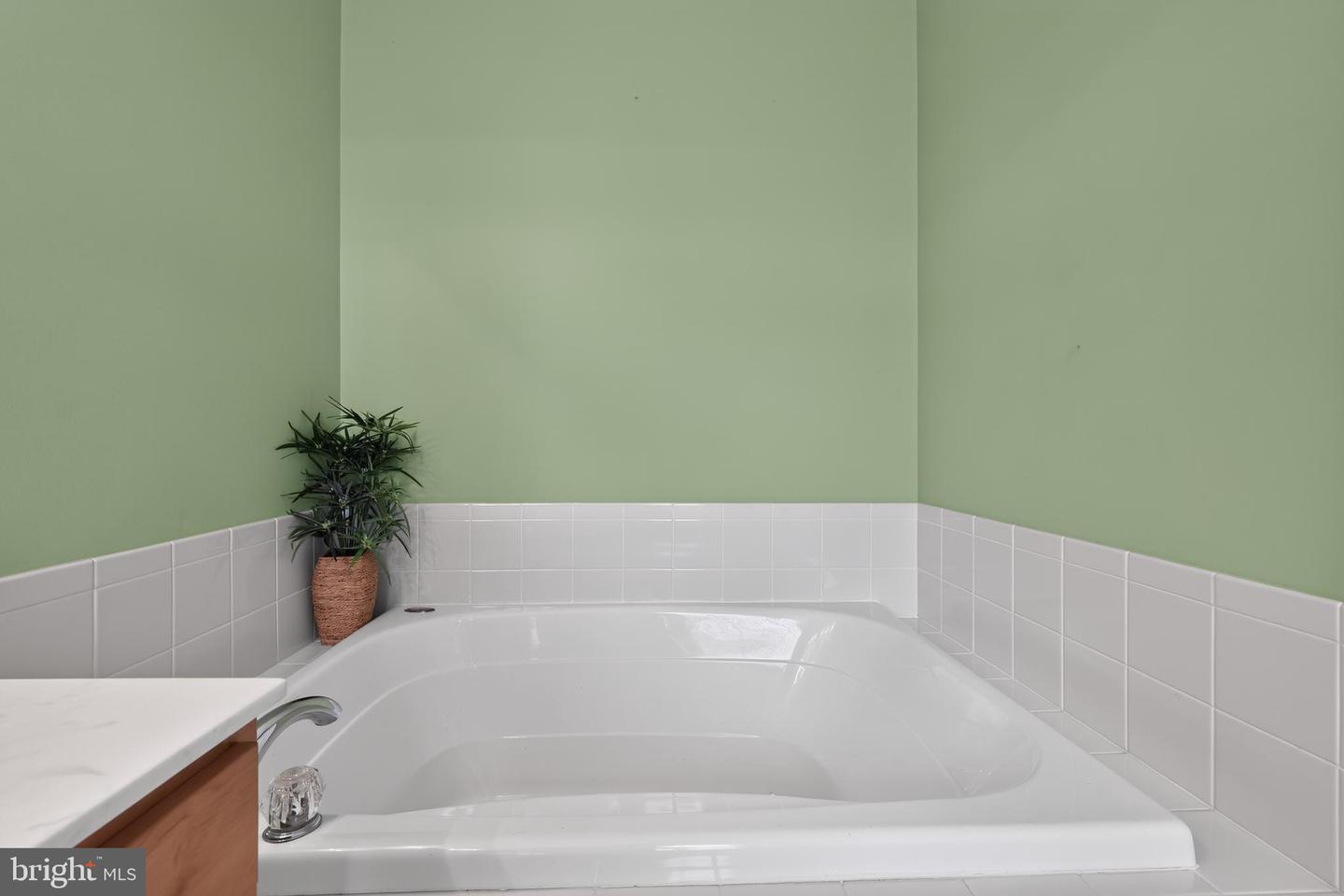 38337 N Mill Ln #116 Property Photo 15