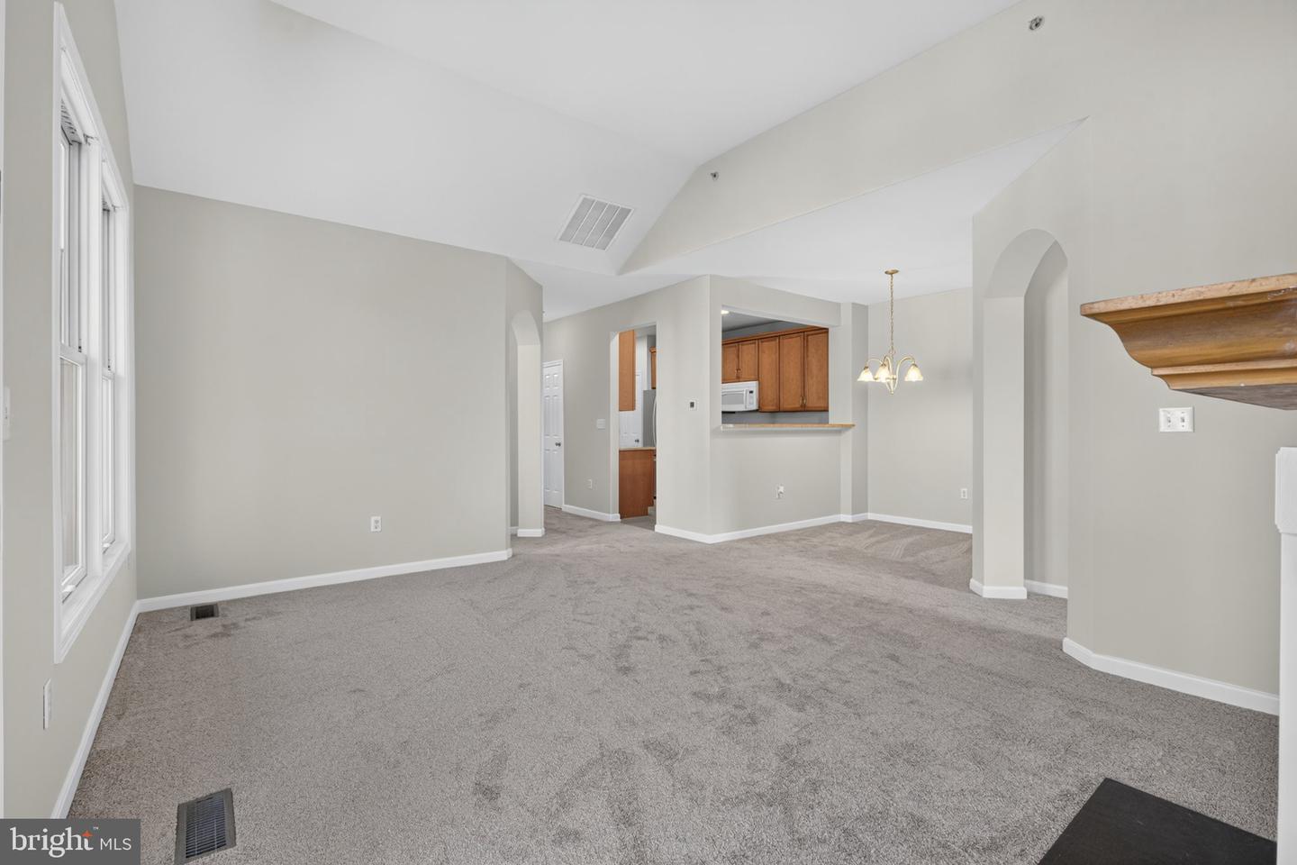 16433 Abraham Potter Run #505 Property Photo 10