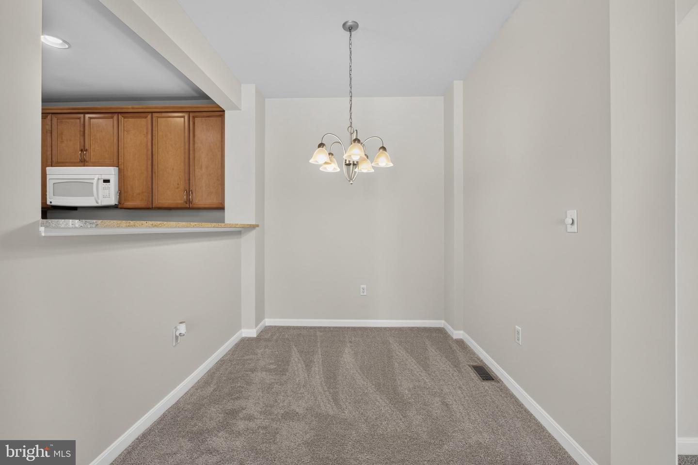 16433 Abraham Potter Run #505 Property Photo 11