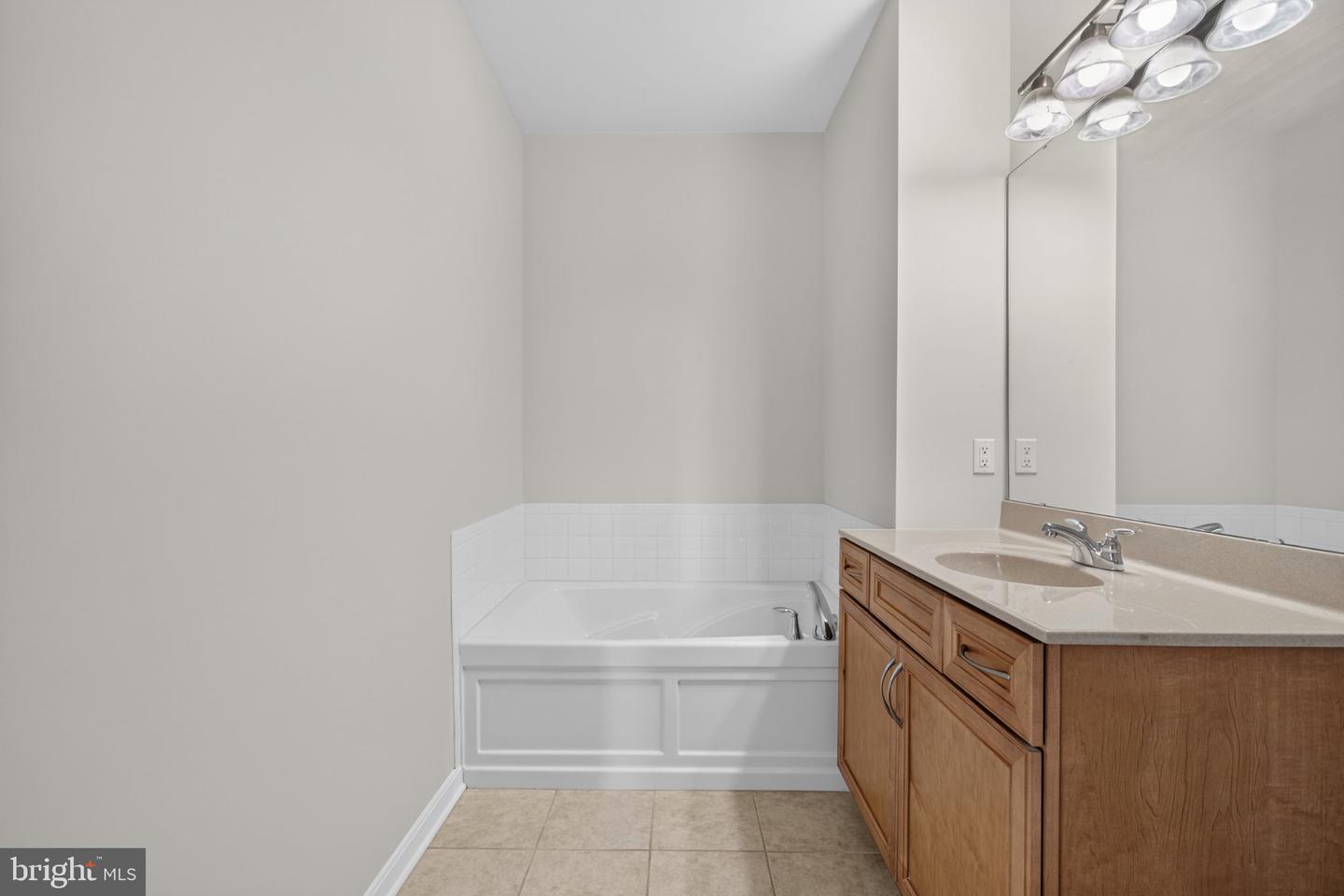 16433 Abraham Potter Run #505 Property Photo 18