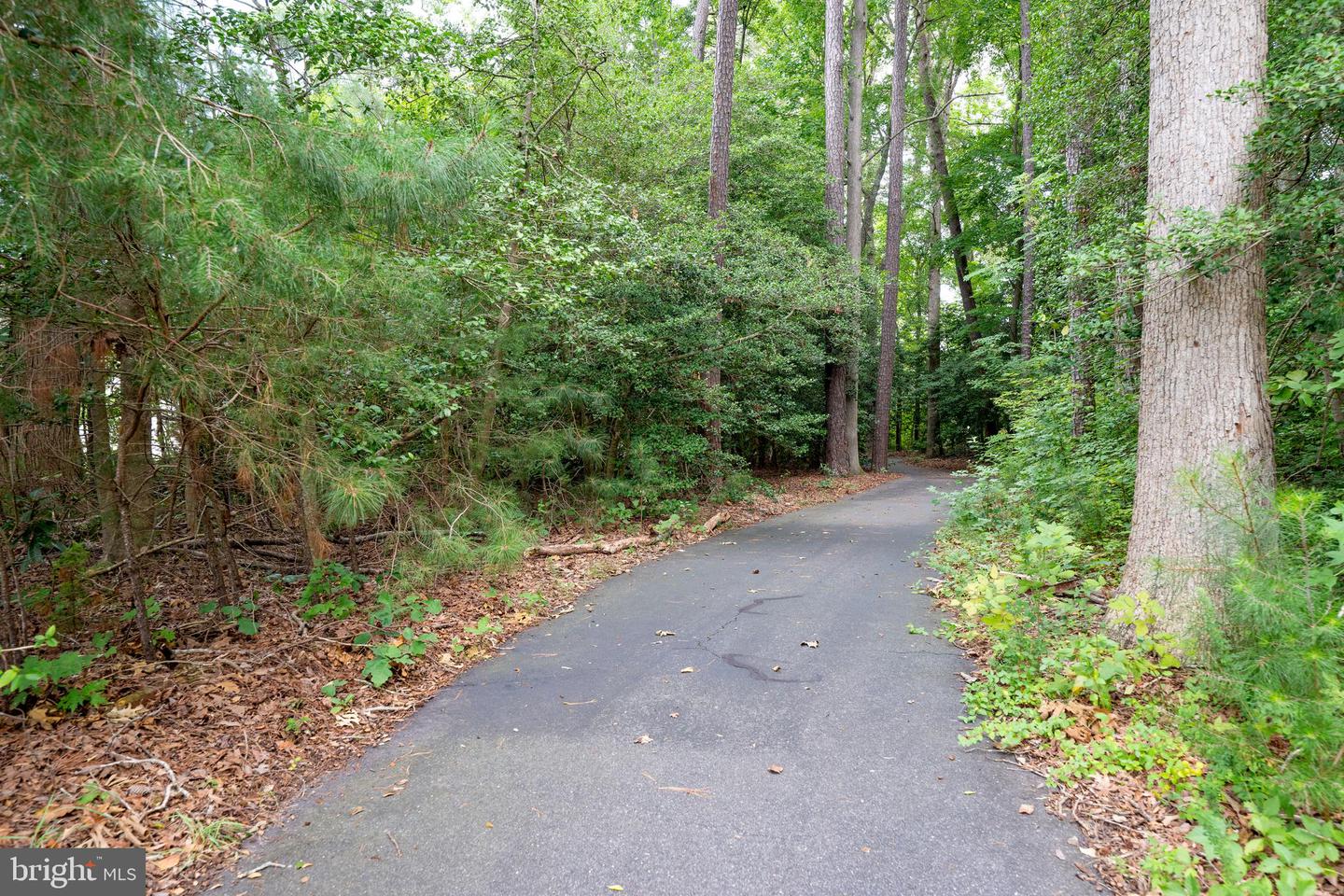 23730 Samuel Adams Cir Property Photo 56