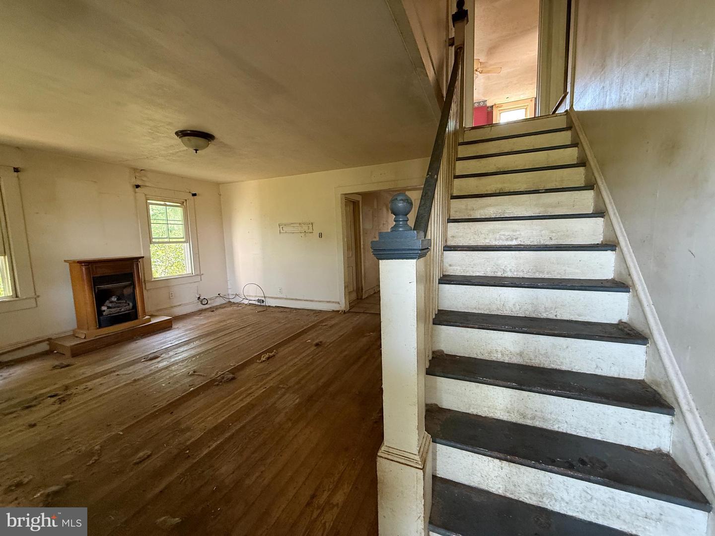 3642 Blue Bird Ln Property Photo 3